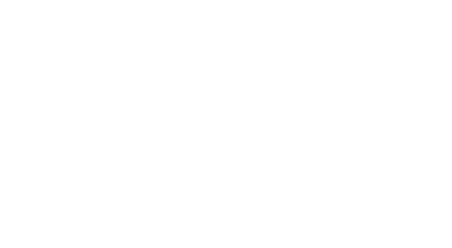 Whale LAN